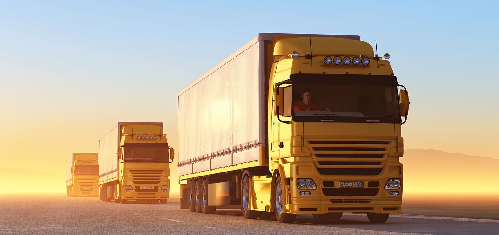 Truck website transport
